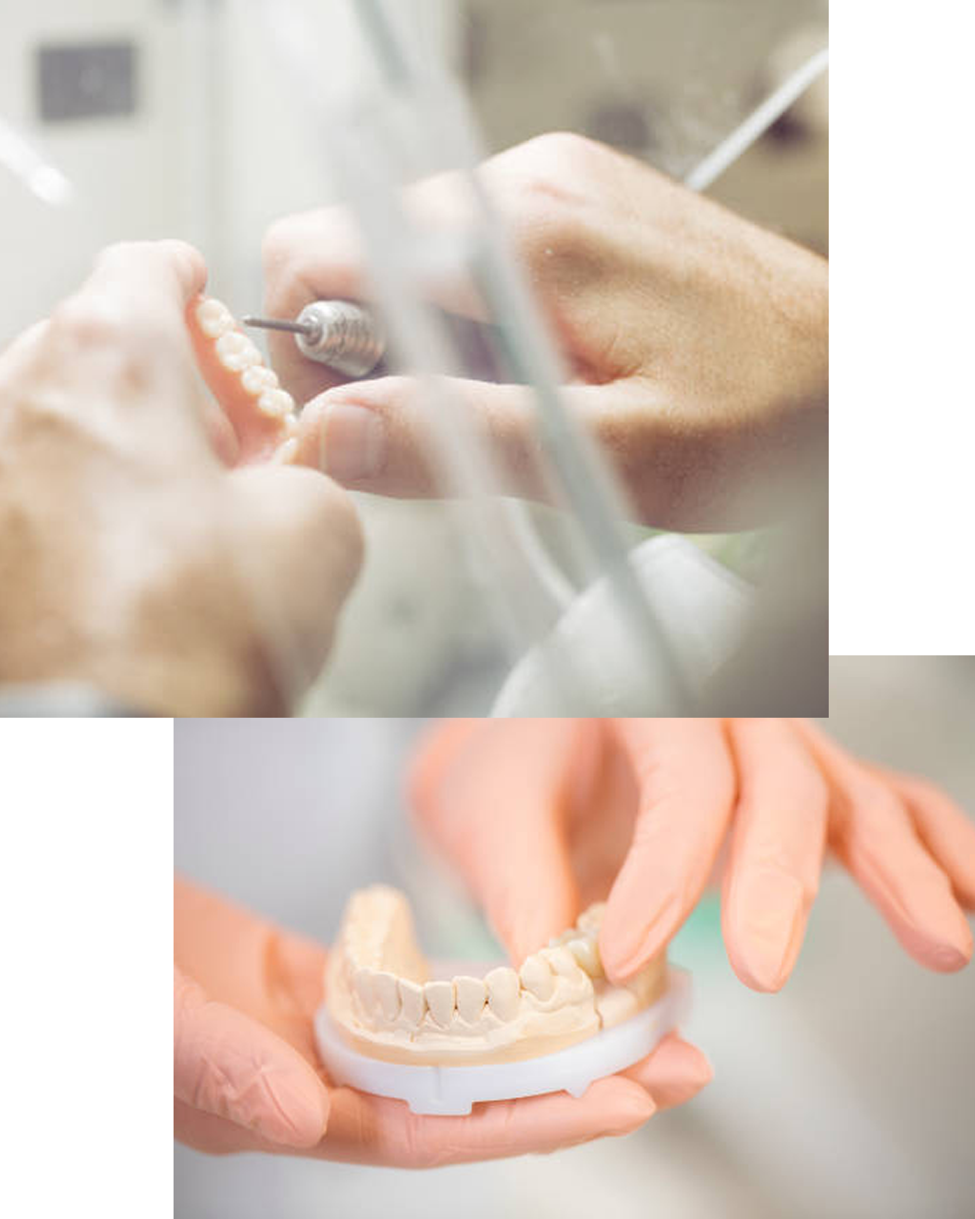 Ȗ،RsCAD/CAM厕ȋZH DENTAL FABbAout̎ʐ^